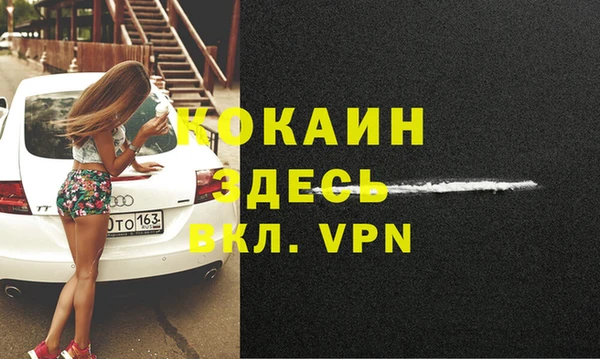 прущие грибы Нея
