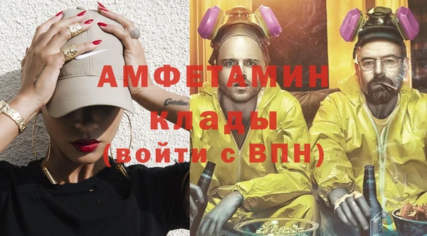 прущие грибы Нея