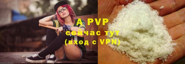 прущие грибы Нея