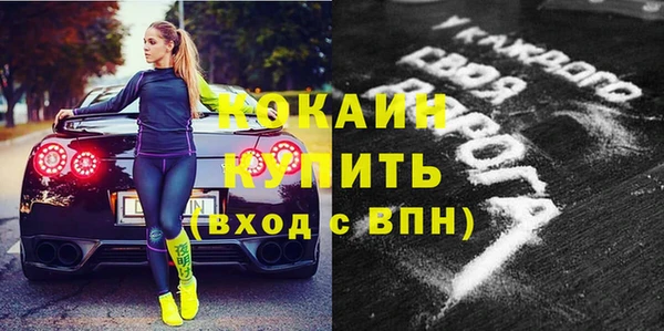 прущие грибы Нея