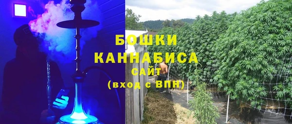 прущие грибы Нея