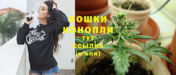 прущие грибы Нея
