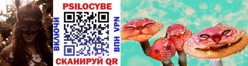 Галлюциногенные грибы Cubensis  MEGA tor  Энем 
